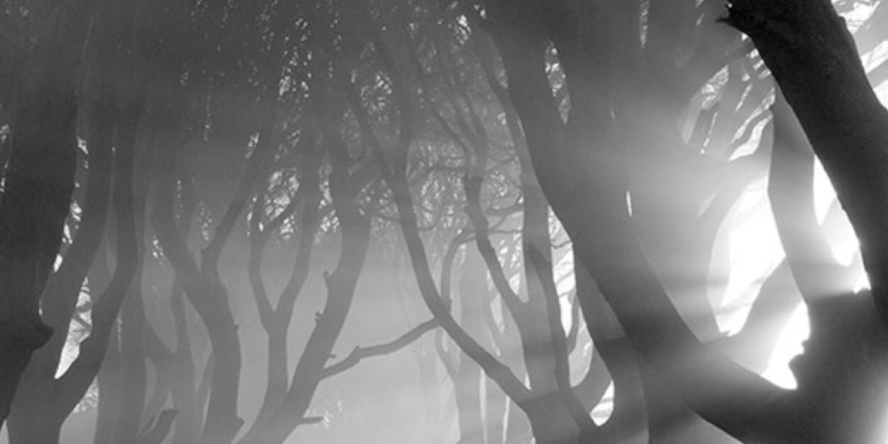 bacos's profile banner image