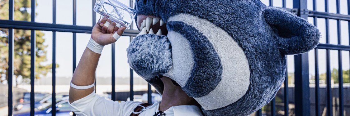 MattBBow's profile banner image