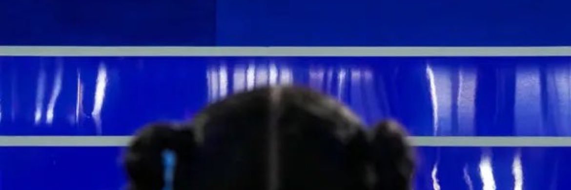 lallberry's profile banner image