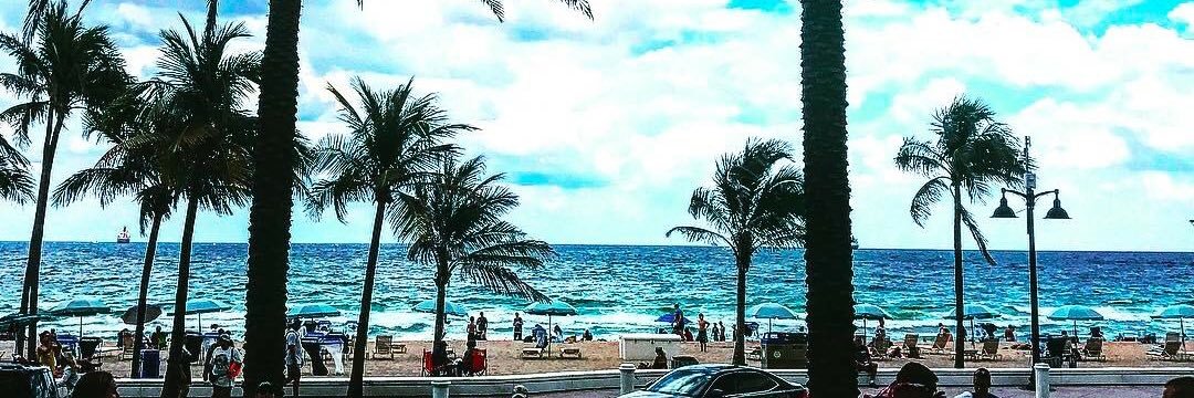NewToPalmBeach's profile banner image