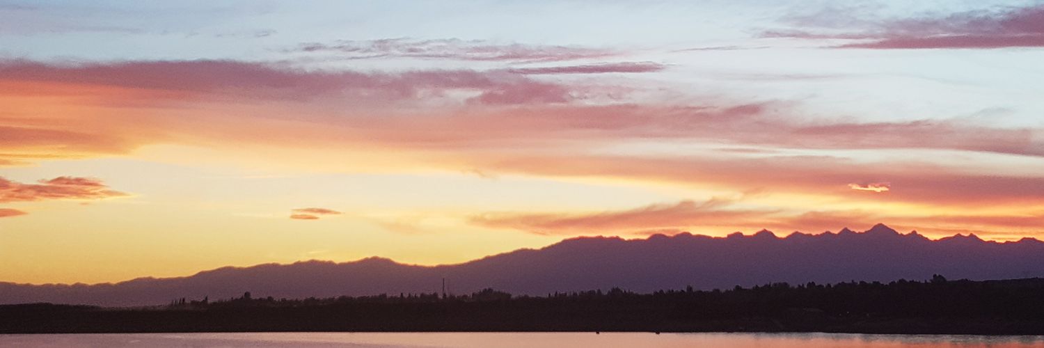 Marcela Mussé banner