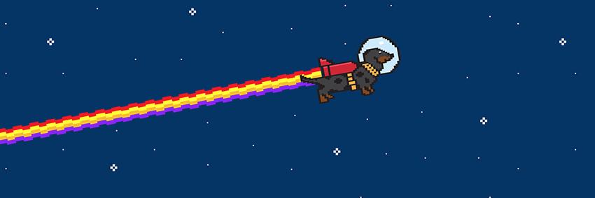 yalefox's profile banner image