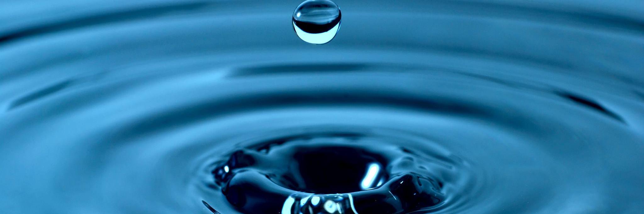 Verisona Abuse Law banner