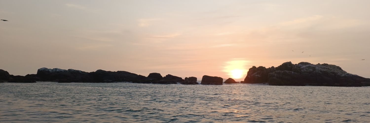 rodvasper1's profile banner image