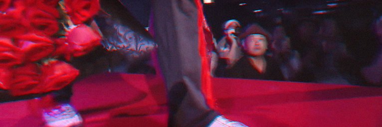 Homochicero's banner
