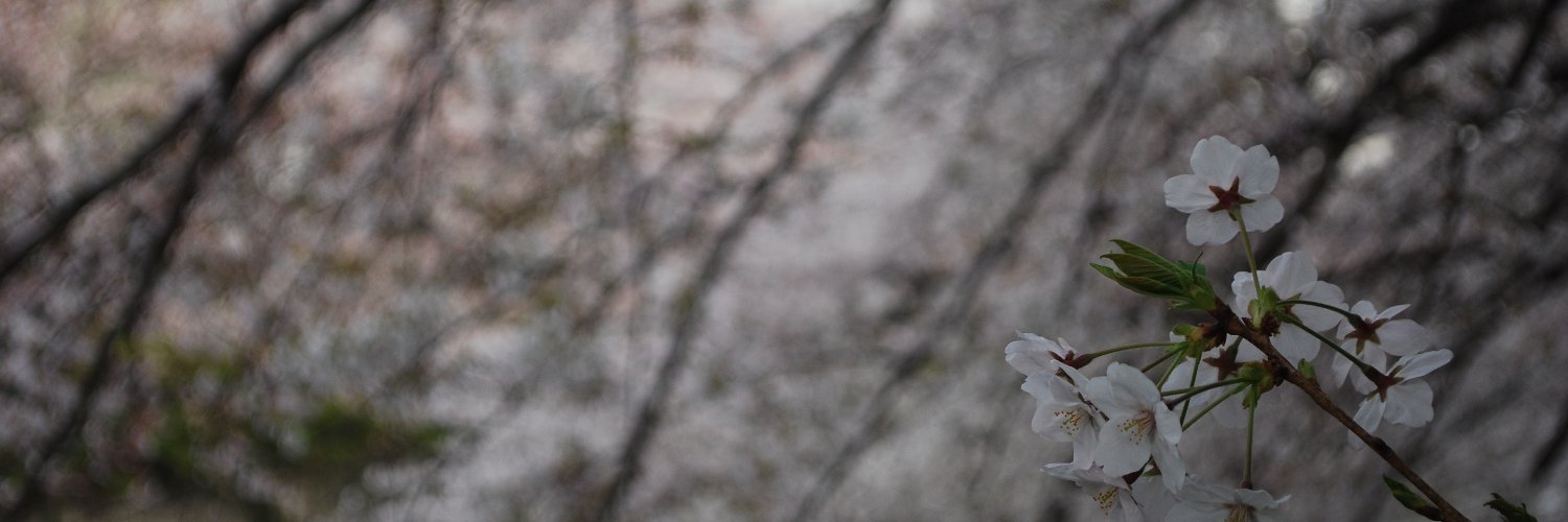 debe85's profile banner image