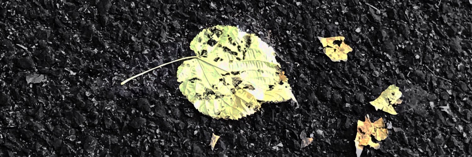 Francesco Peluso banner