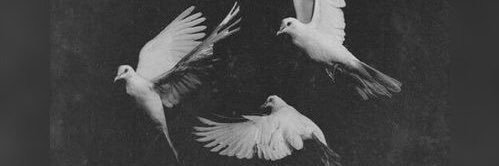 fatirajab5's profile banner image