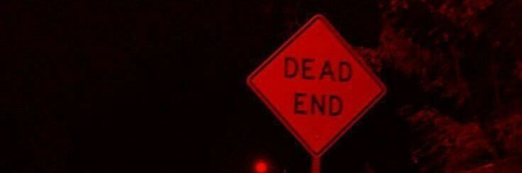 🌴 banner