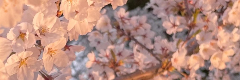 ぢた banner