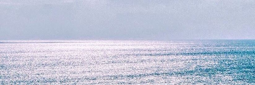 Sonia Álvaro's banner