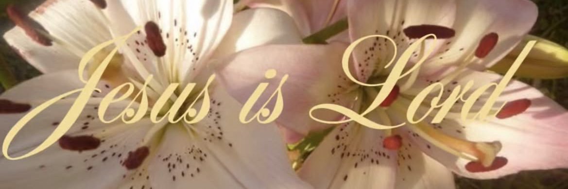 stwby_'s profile banner image