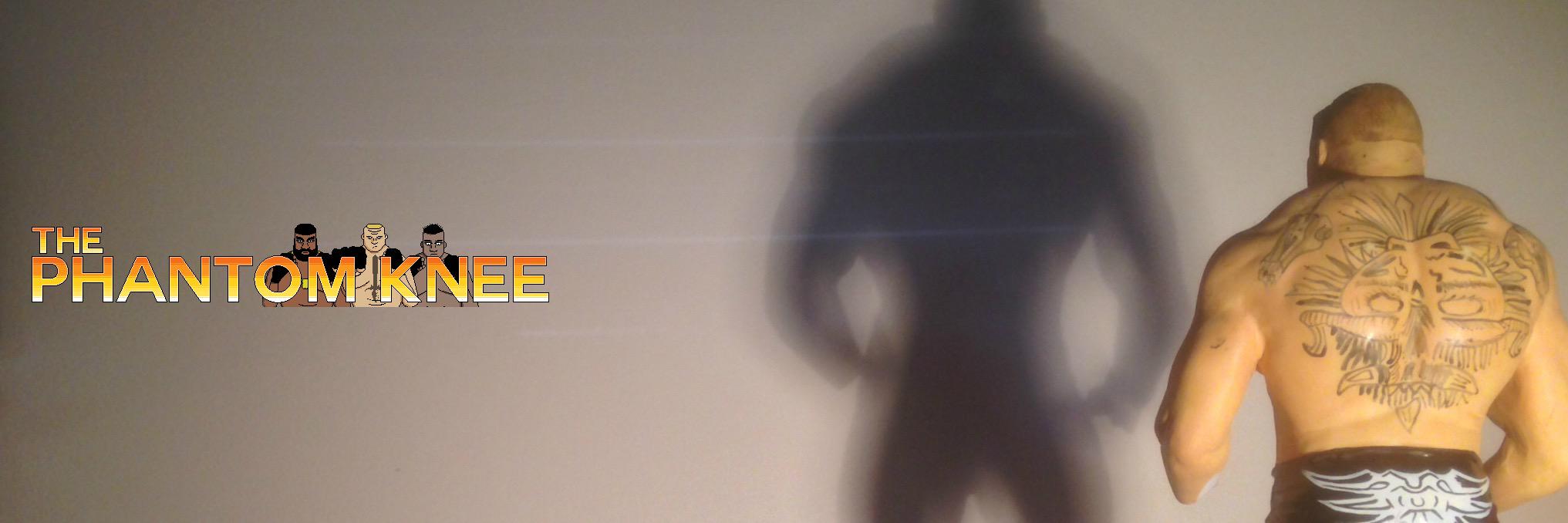 PhantomKneePod's profile banner image