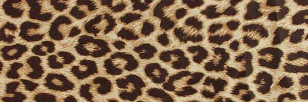 heidyaltva Profile Banner