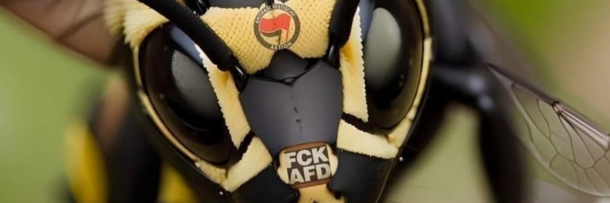💚🐝Binchen🐝💚⚔️🏳️‍🌈❤️🖤🇺🇦's banner