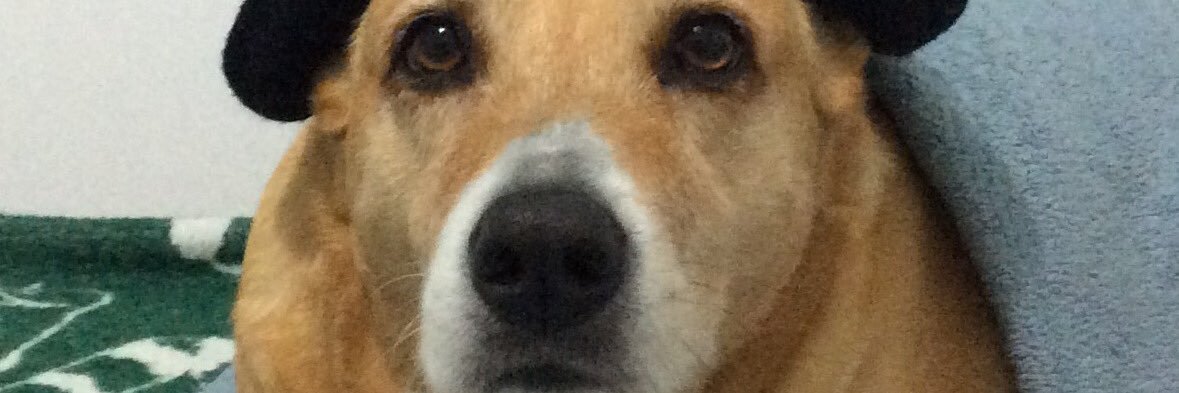 huhamon65's profile banner image