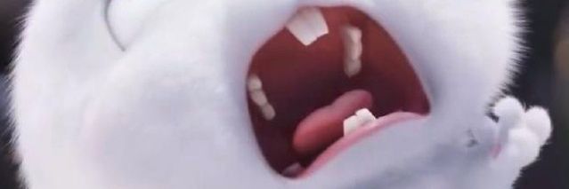 miodkoyf's profile banner image