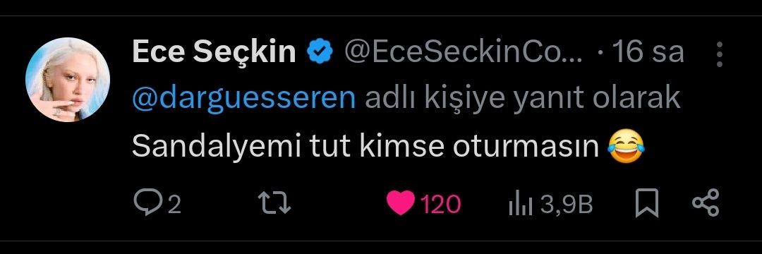 darguesse⁴⁴ banner