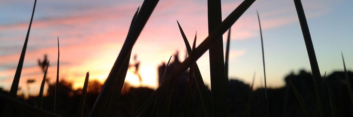 ii banner