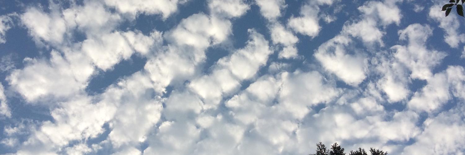Supreme666s's profile banner image