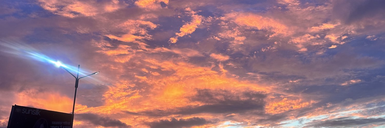NapPizZarin's profile banner image