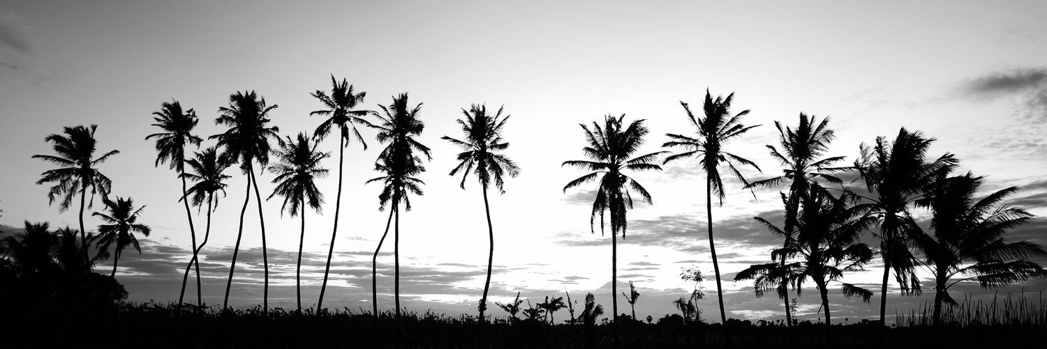 Dkesavaselvan's profile banner image
