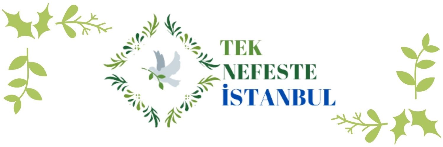 teknefesteist's profile banner image