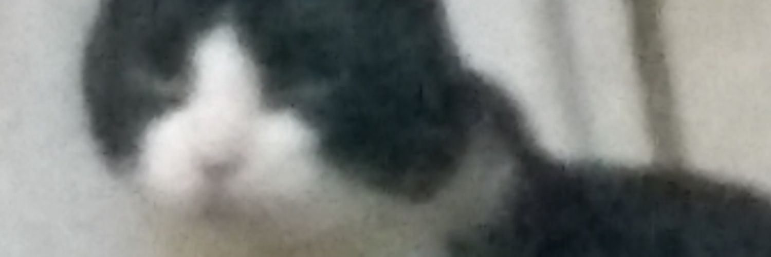 giuliyqque's profile banner image