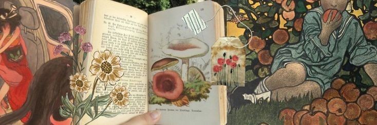 glufairy's profile banner image