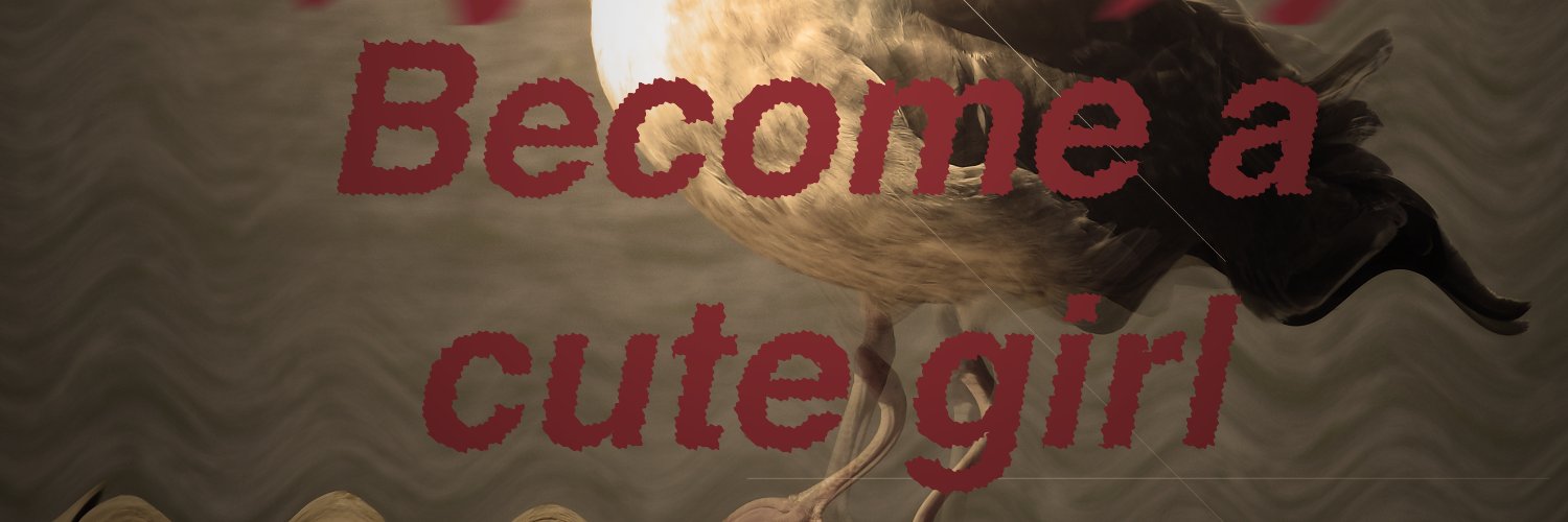 All0ner's profile banner image