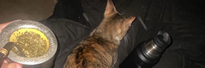 catrijuarez's profile banner image