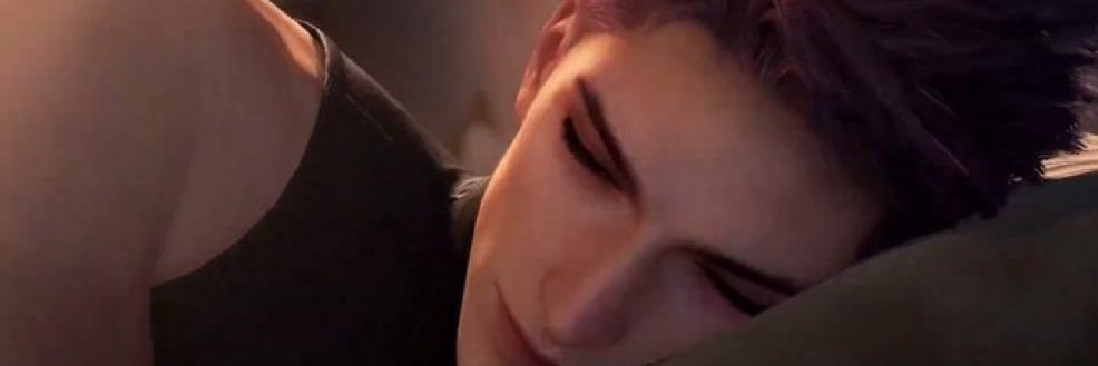 Pinkvosk's profile banner image
