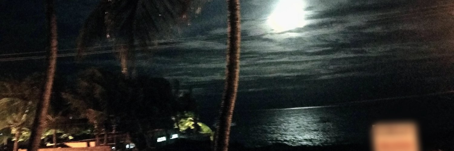 InaMariaFerro's profile banner image