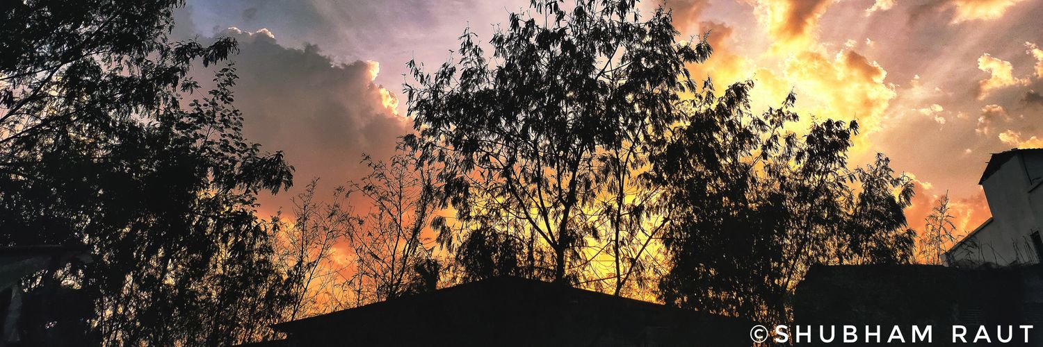 shubraut's profile banner image