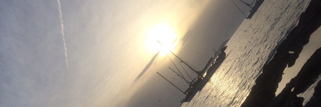 janineDHAM's profile banner image