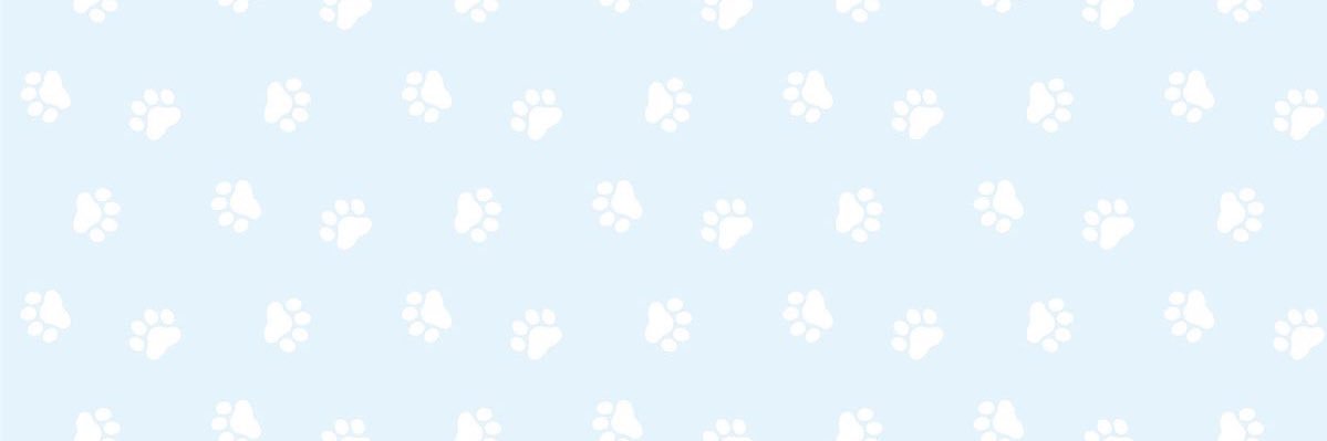 icarus banner