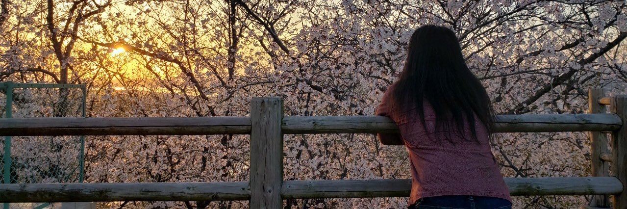 tmoya666's profile banner image