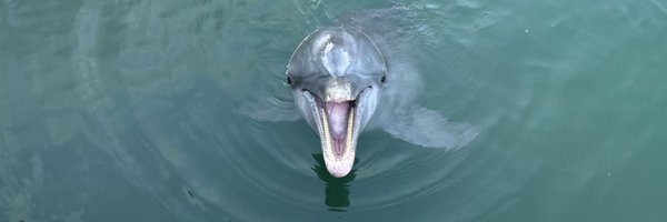 ChristophBauer Profile Banner