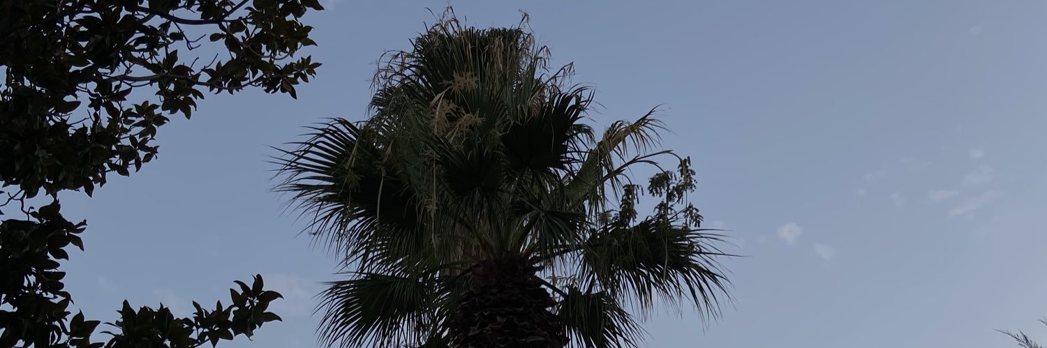 bethhdochertyy's profile banner image