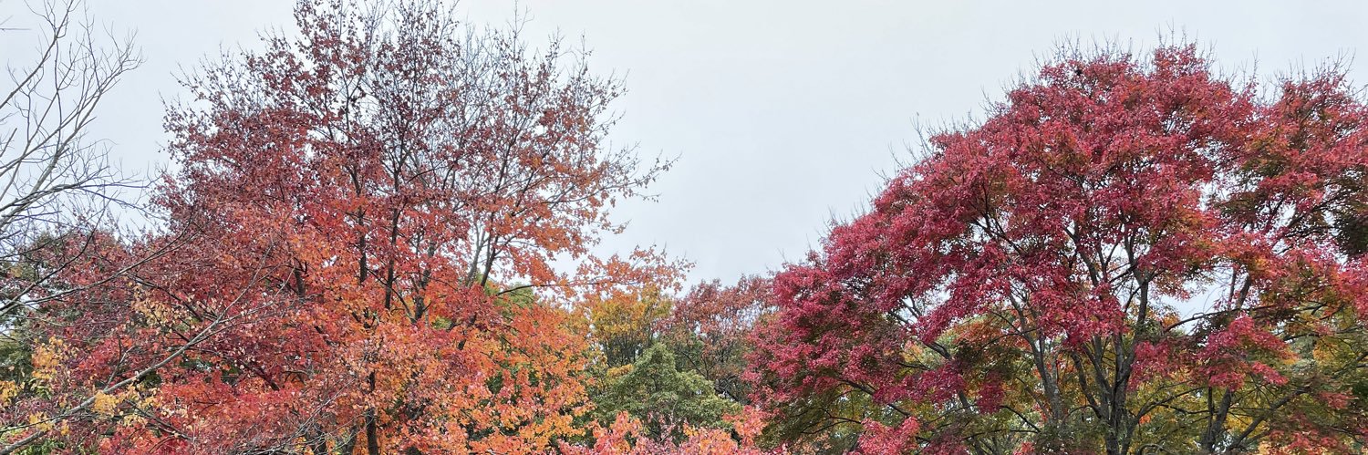 marren48's profile banner image