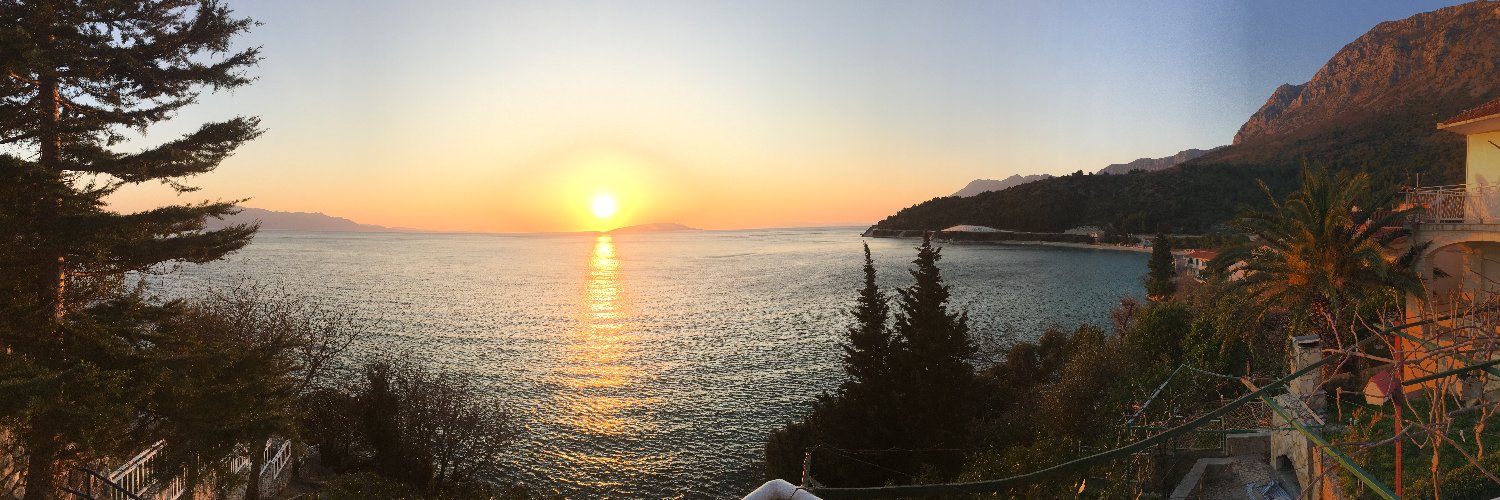 Z. Blace (Željko Blaće) banner