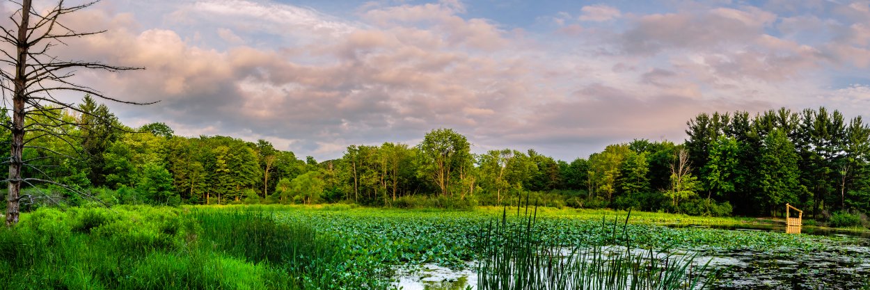 Geauga Park District banner