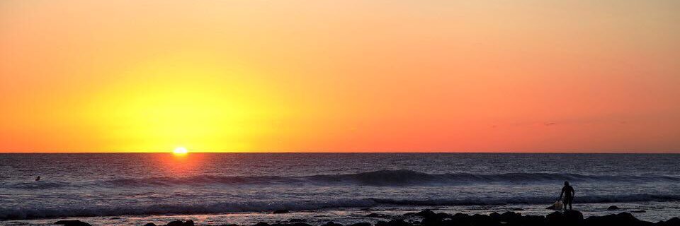 Vivienisnice's profile banner image