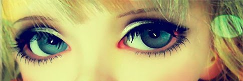 sheilalopesilva's profile banner image