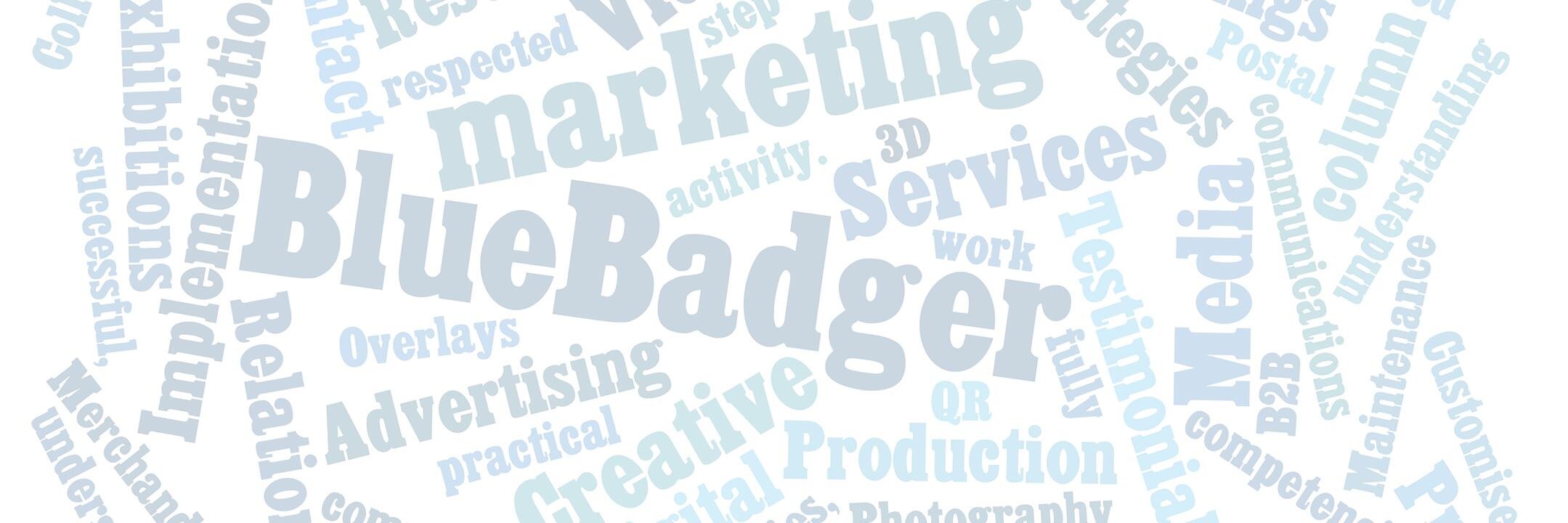 BlueBadger Marketing banner