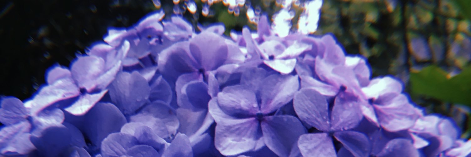 Mere_Diz's profile banner image
