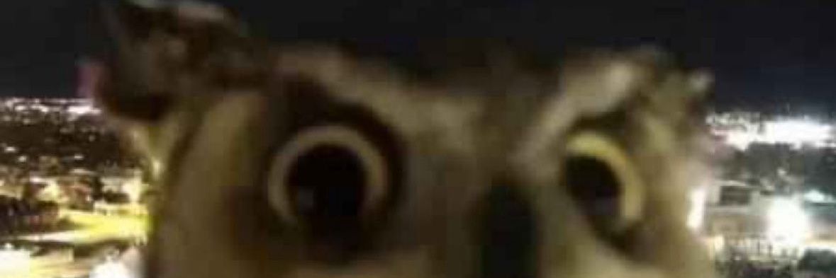 CokeAzulito's profile banner image