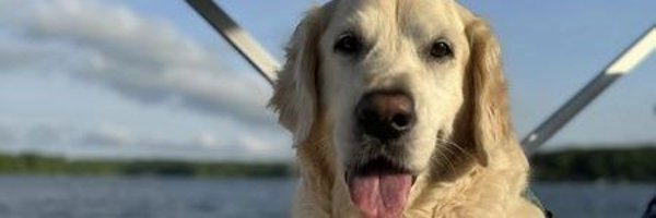 theresabluest Profile Banner