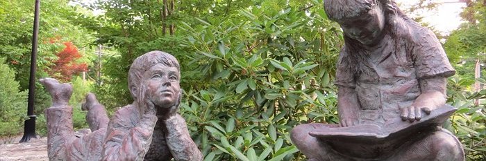 Norton Library banner