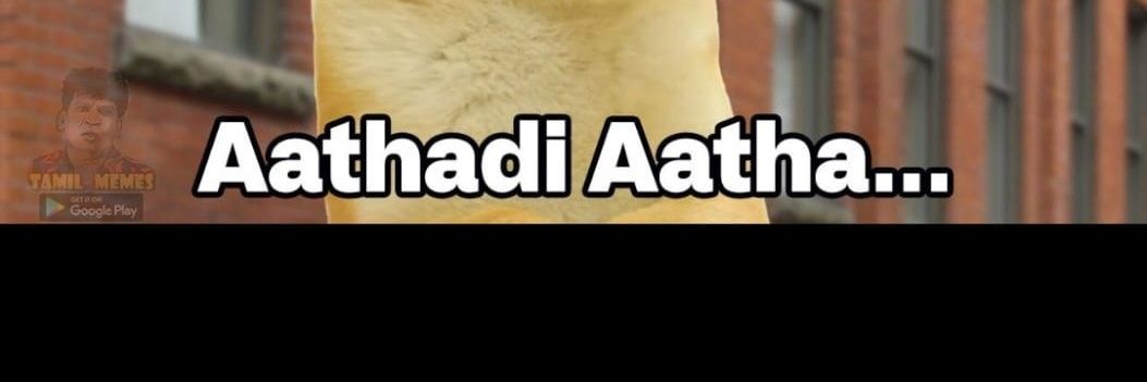 summathannnnnnn's profile banner image